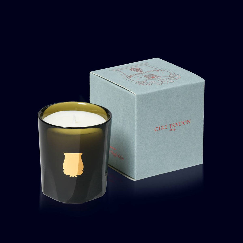 trudon luxury candle in a green glass vessel with a gold label and its light blue box
