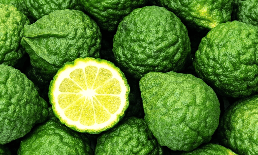 The Uplifting Power Of Bergamot - Takamichi Beauty Room