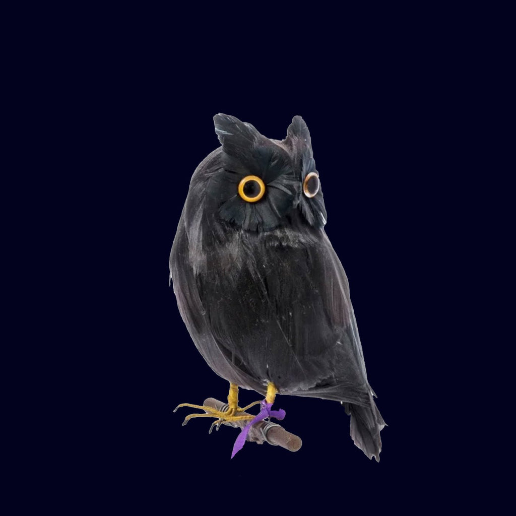 The Art of Sleeping Tight: The Importance of a Good Night's Sleep - Takamichi Beauty Room