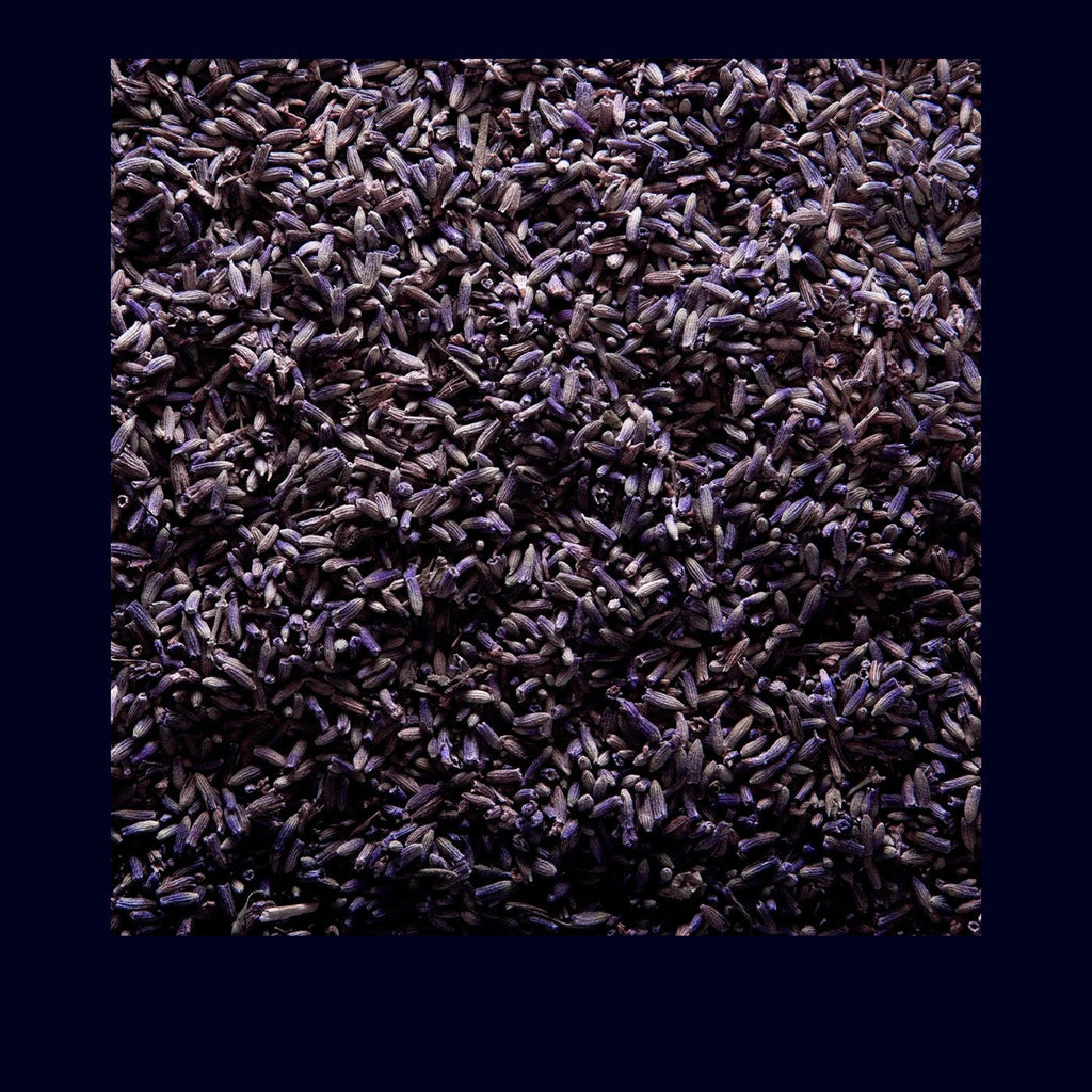 Candle Paulette - Takamichi Beauty Room