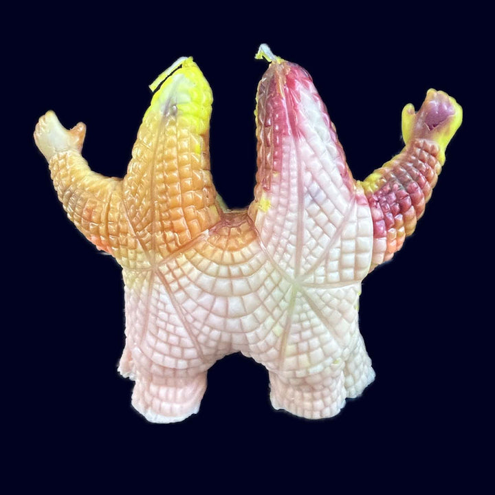 Alice the Dragon: Shrimpy Edition