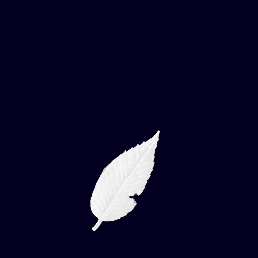 Paper Incense Leaf White - Takamichi Beauty Room