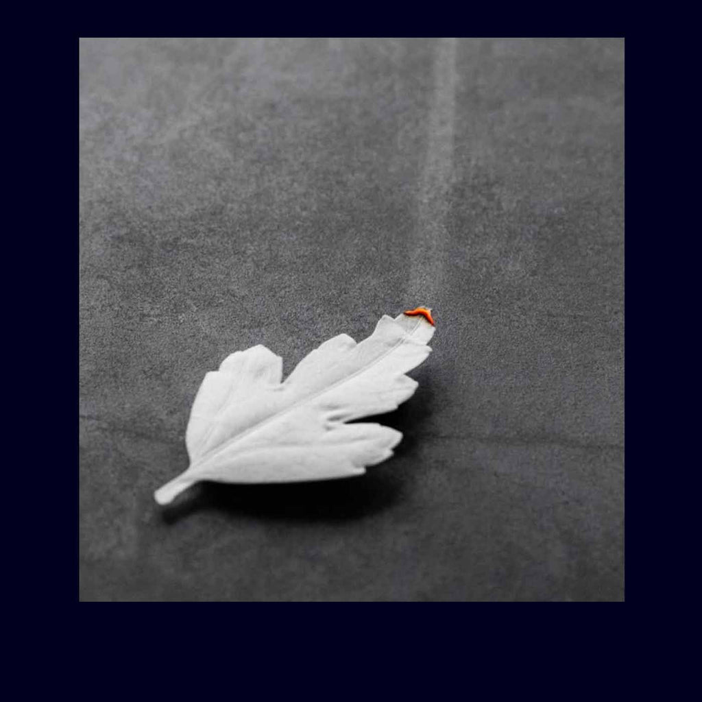 Paper Incense Leaf White - Takamichi Beauty Room