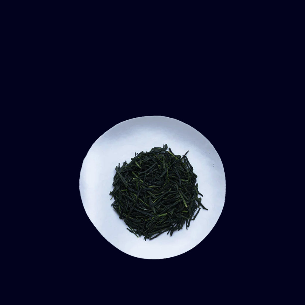 gyokuro green tea black can