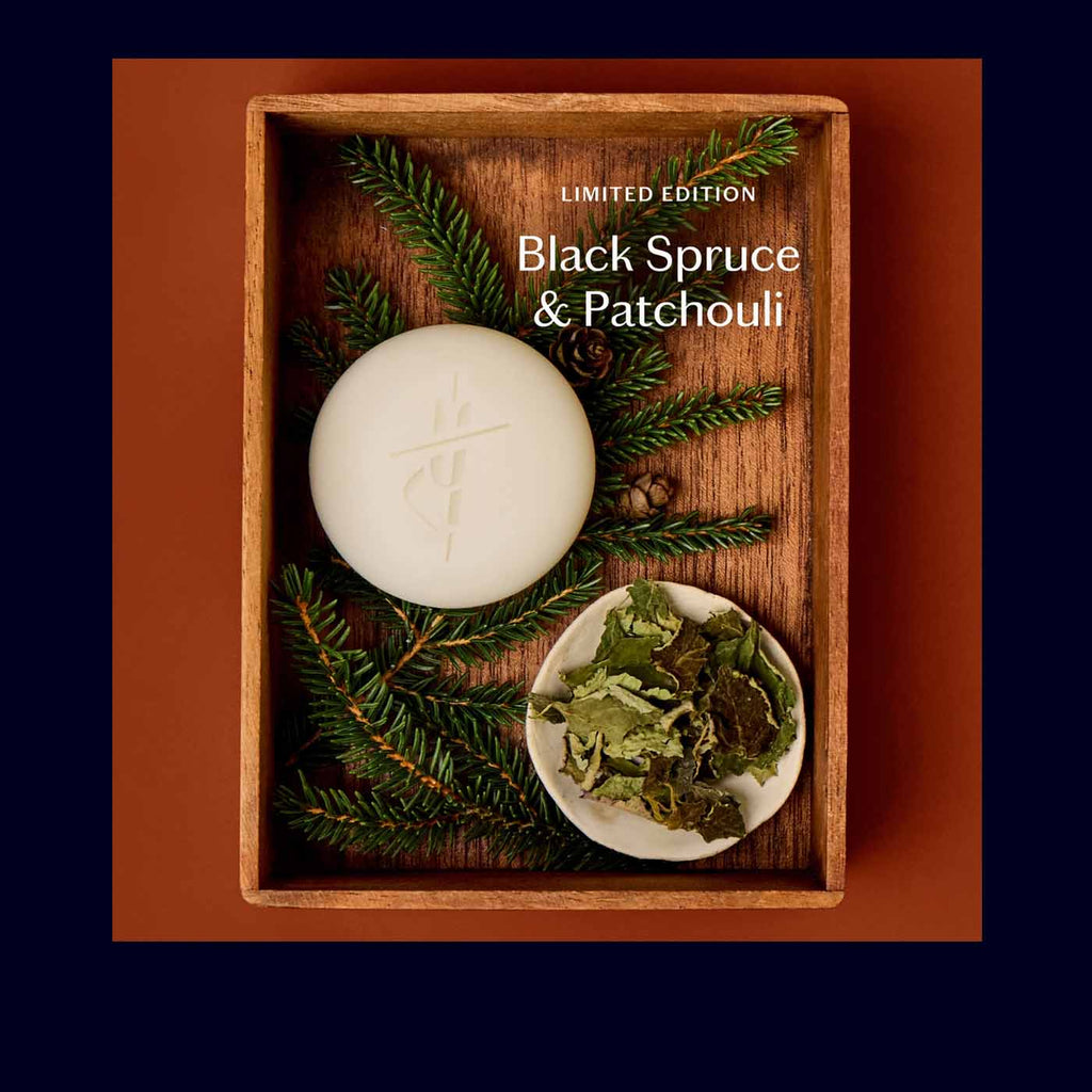Black Spruce & Patchouli | Deep Moisturizing Lotion Bar - Takamichi Beauty Room
