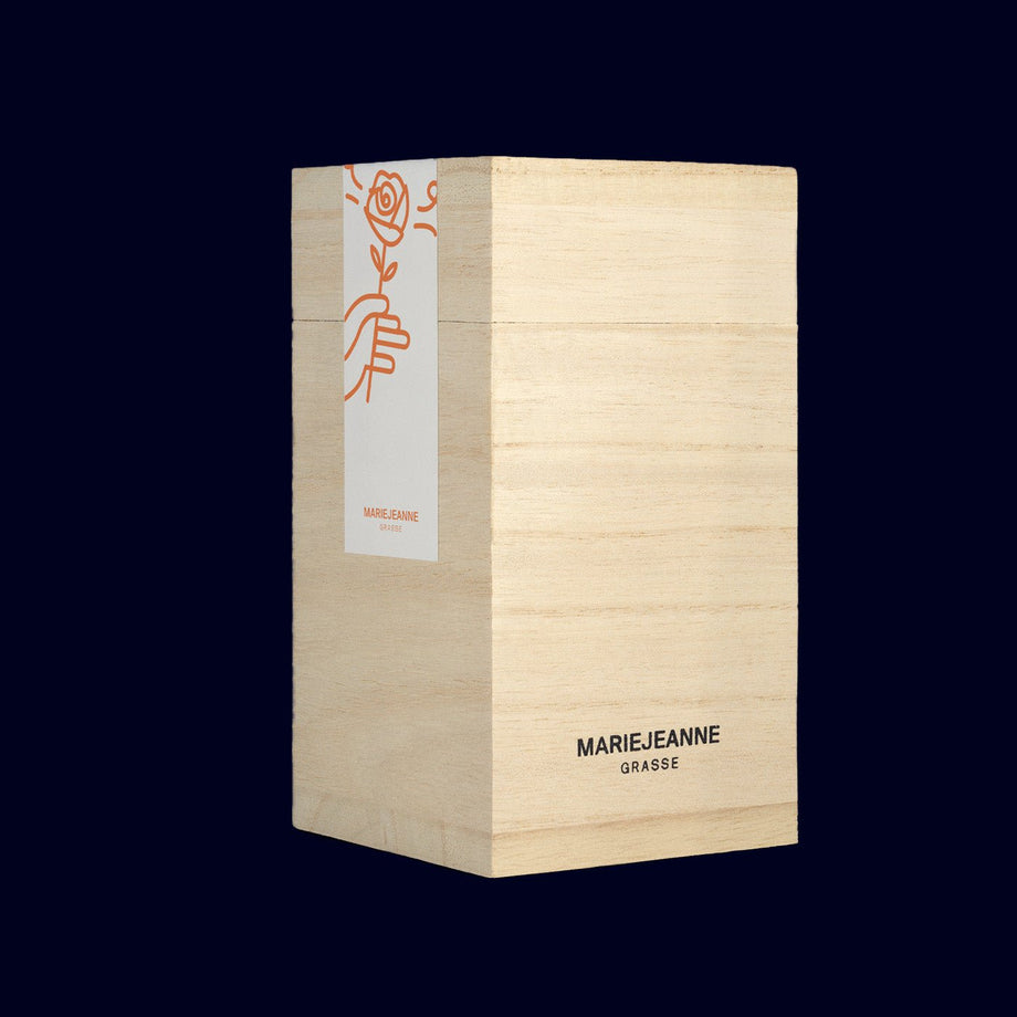 mariejeanneaupieddurosierbox_4