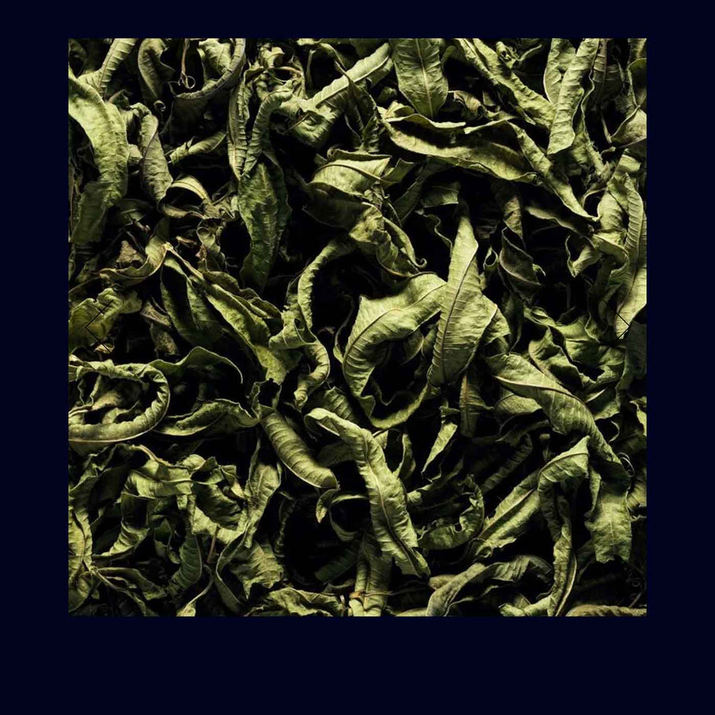 Candle Jacqueline - Takamichi Beauty Room