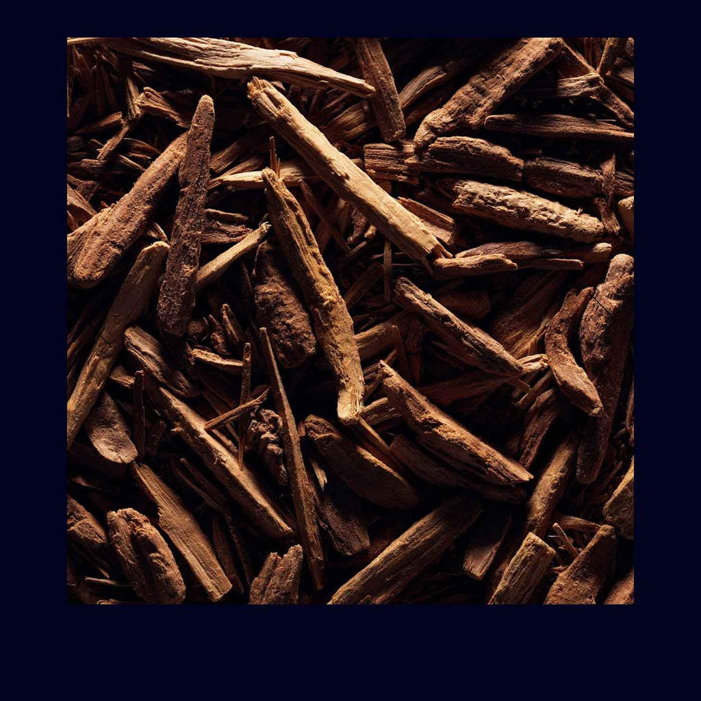 Candle Santal - Takamichi Beauty Room