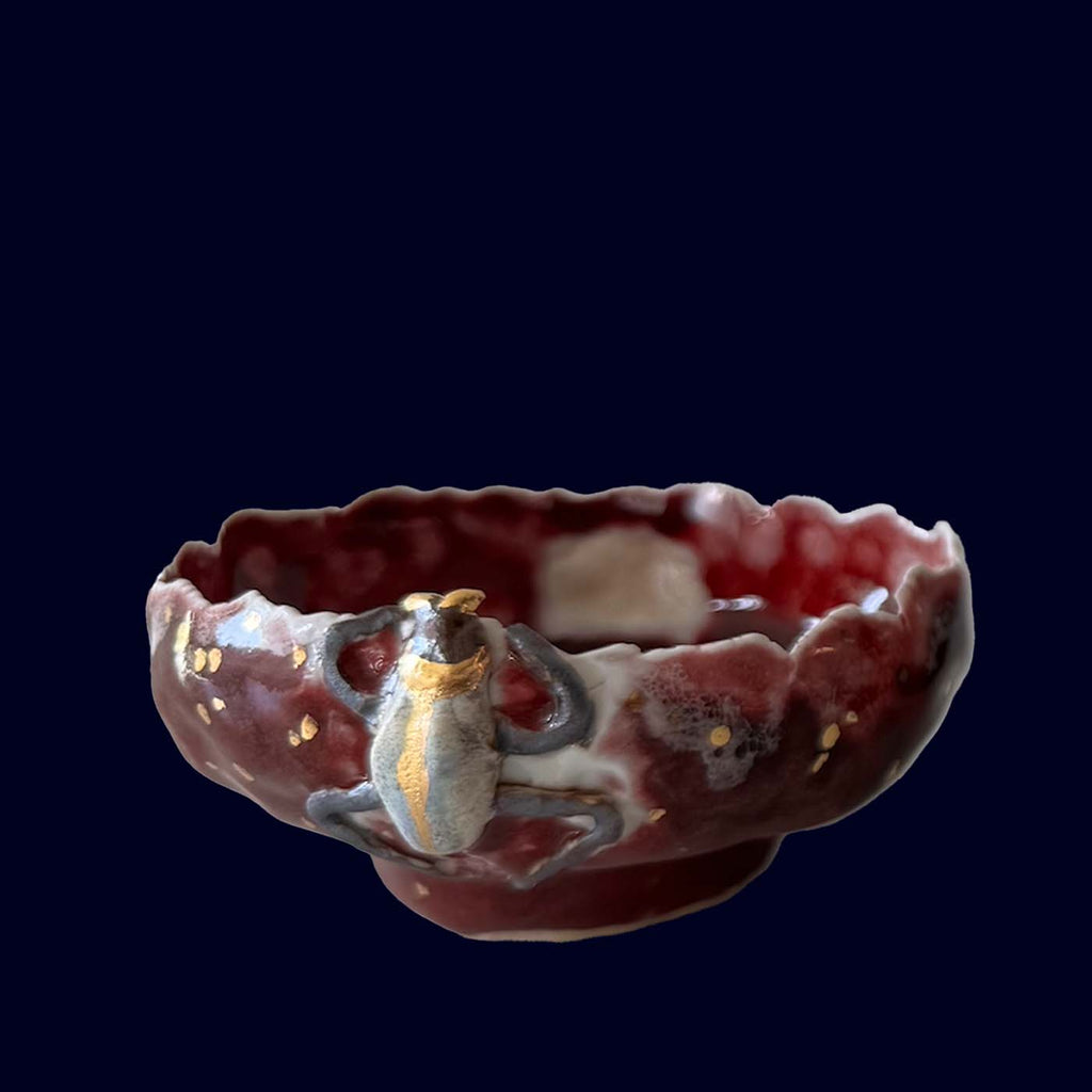 Ceramic bowl with a beetle design on a dark background