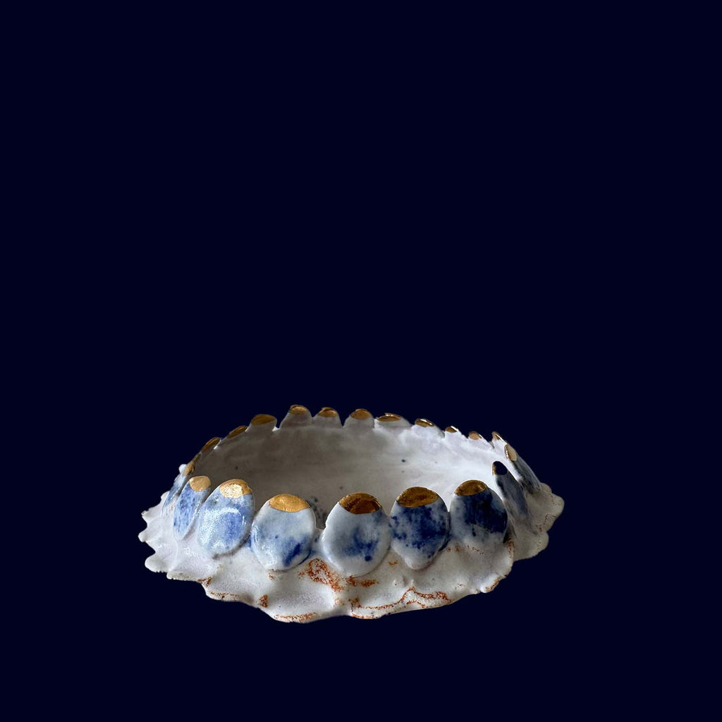 Decorative shell with blue and gold accents on a black background