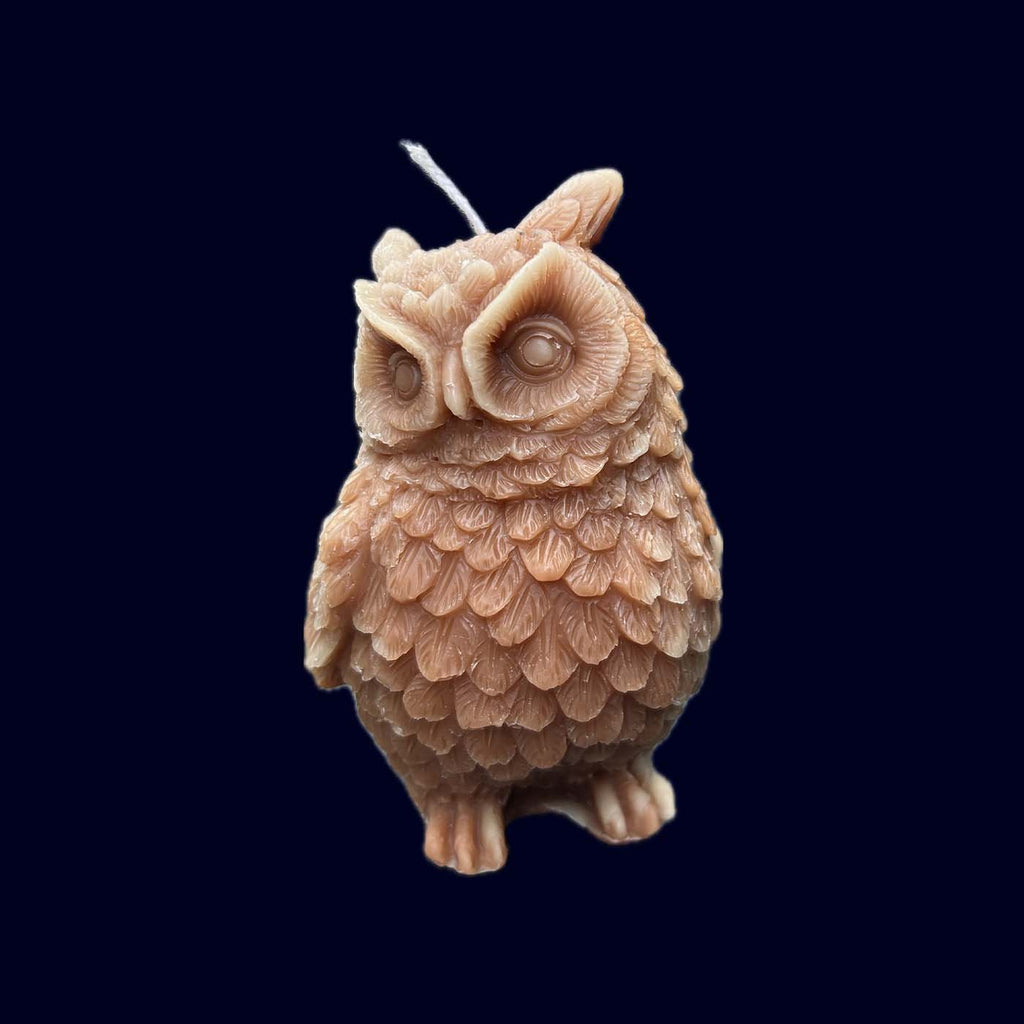 beeswax owl candle