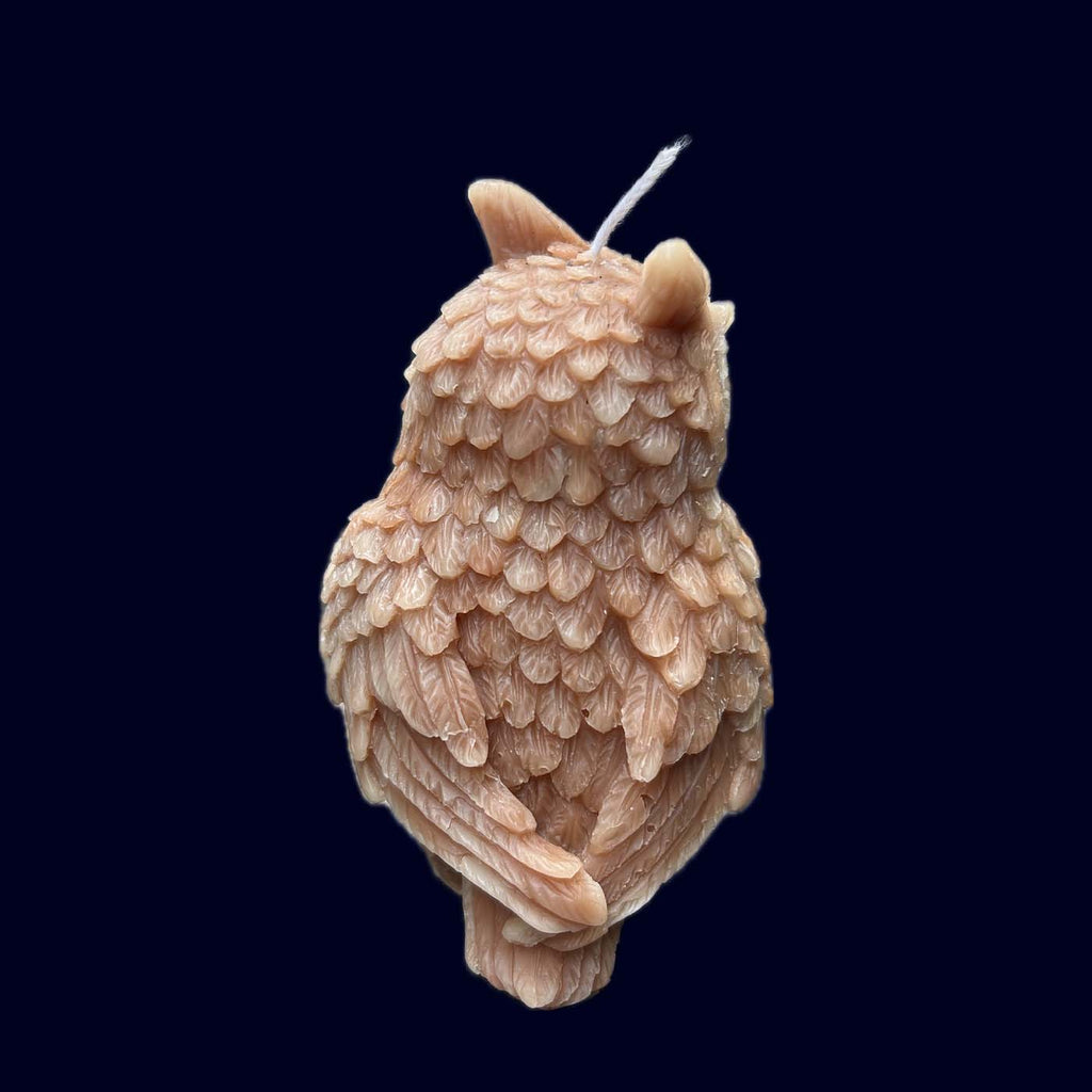 beeswax owl candle