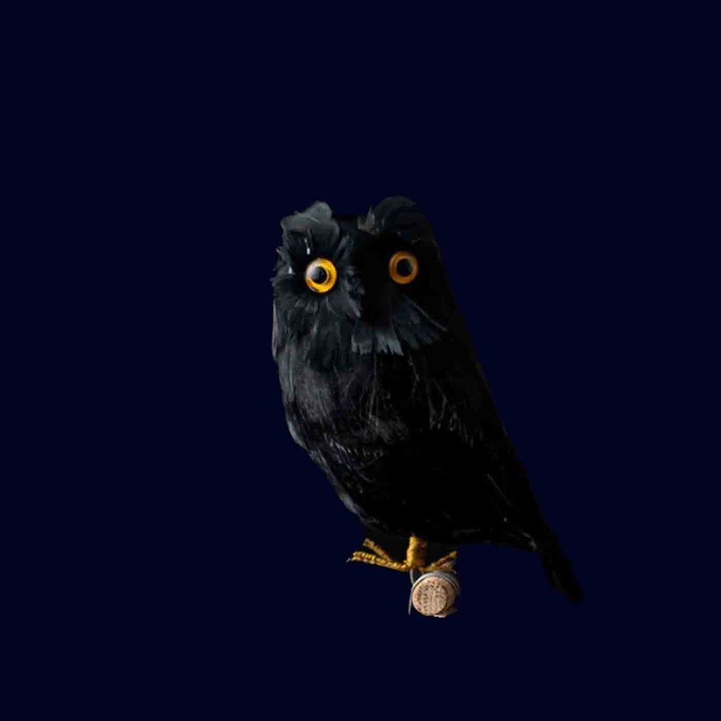 puebco black owl