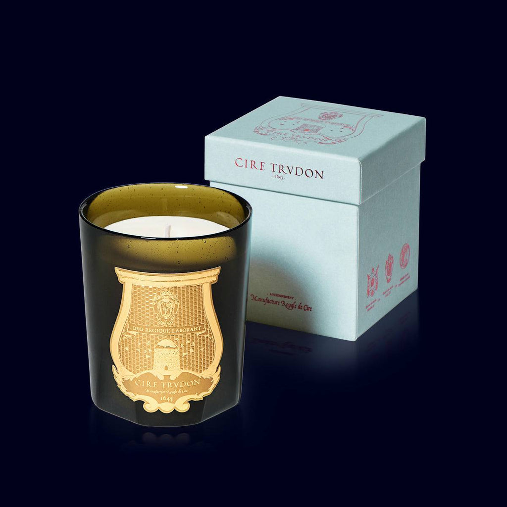 trudon luxury candle in a green glass vessel with a gold label and its light blue box