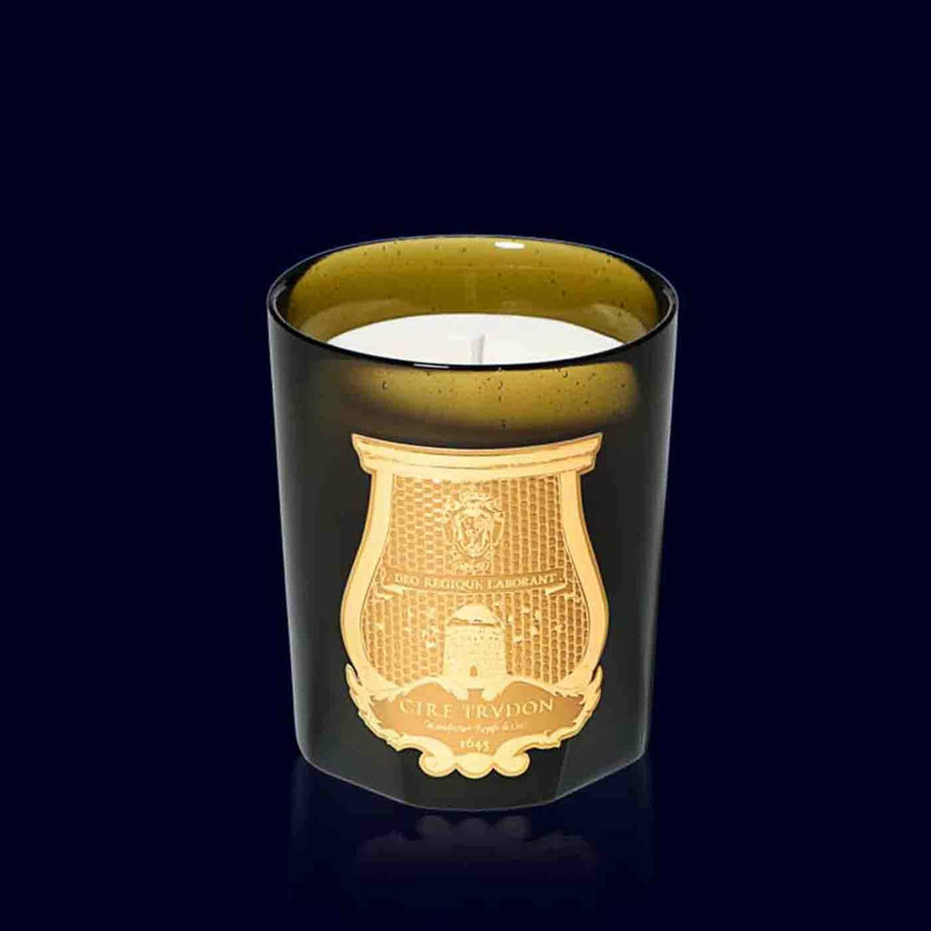 trudon scented candle in a dark green glass vessel with a gold label. 